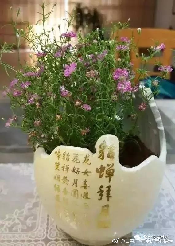 扔掉的废酒瓶做成花盆,别人出多少钱都不卖!