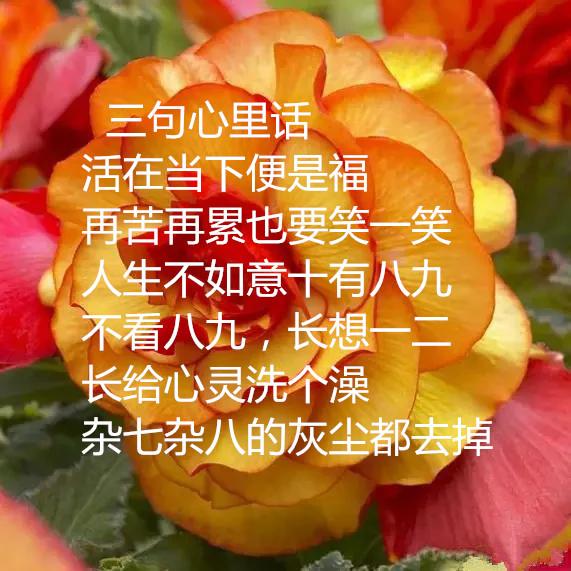 人生-四句话,常记心里! 精辟(句句真理)