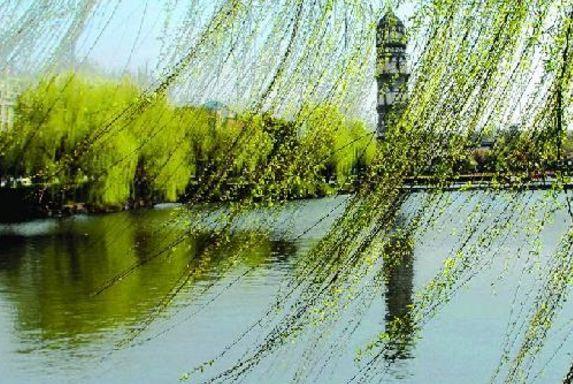 【诗词鉴赏】春风十里,感受春风拂面!