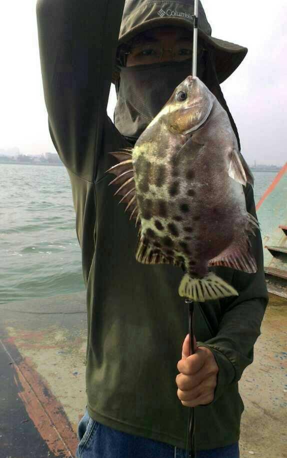 跟我学海钓——深圳海钓方法科普贴（下）
