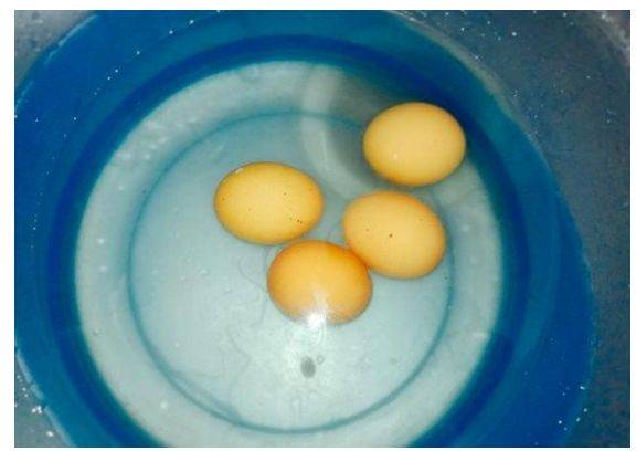 鸡蛋营养价值高,如何煮鸡蛋好剥壳?