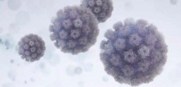 有关hpv病毒and hpv疫苗 你要知道的这里都有