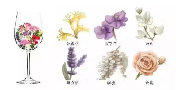 实用丨葡萄酒中的那些香气,换成英文你还认识