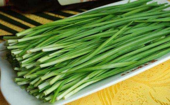 听说韭菜钓鳊鱼,草鱼效果不错, 特讨来这份技巧分享给