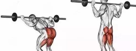 12个提高男性能力的训练动作图解,你有练吗?