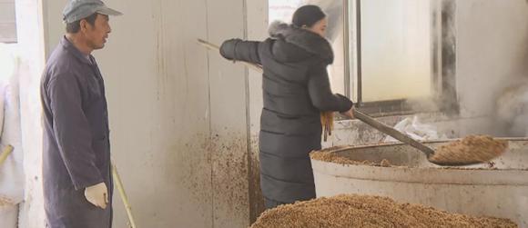 用岁月酿出百味:上海现存唯一白酒酿造技艺传