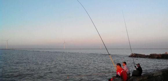 失传钓法，钓梭鱼必爆护