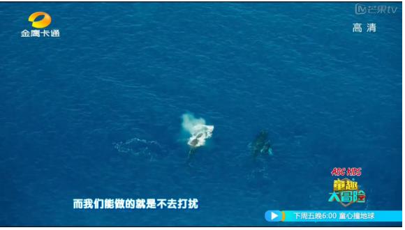 ABC KIDS《童趣大冒险》蓝光海怪大追踪