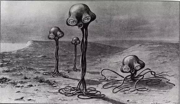 章鱼是外星人遗落在地球的亲戚吗?