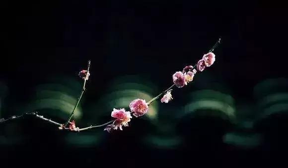 喜爱文字的人, 都有一颗多情又诗意的心