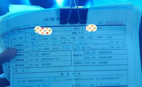 办好这些证件，宠物托运其实没你想的那么难！