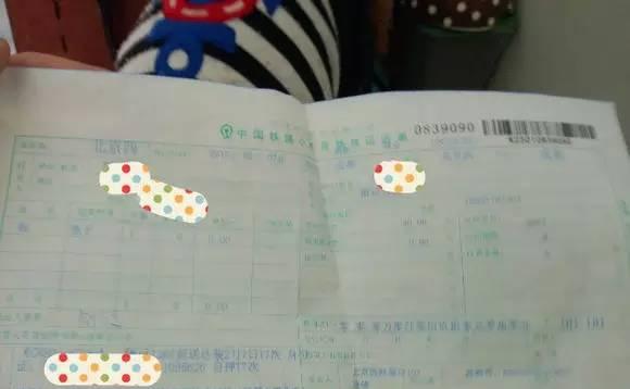 办好这些证件，宠物托运其实没你想的那么难！