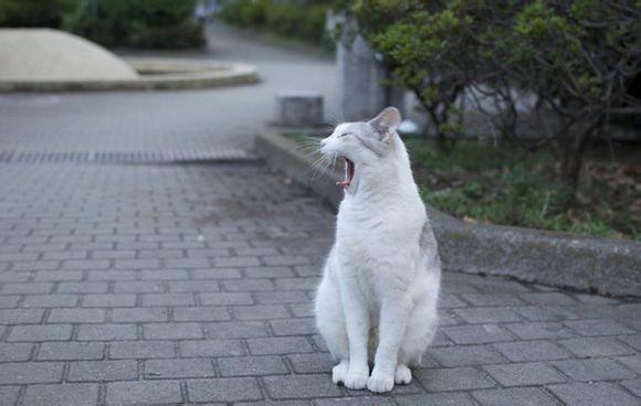 直击中国最干净的五座城市