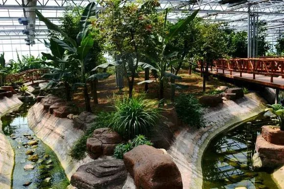 日照冬天去哪玩? 这几个地方你得知道!