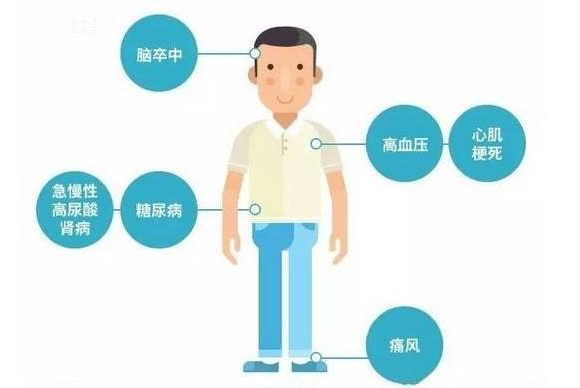 尿酸高怎么办?改善生活方式合理降低尿酸,不反