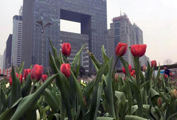 武汉成中国十大幸福城市之首 2018年城市添新