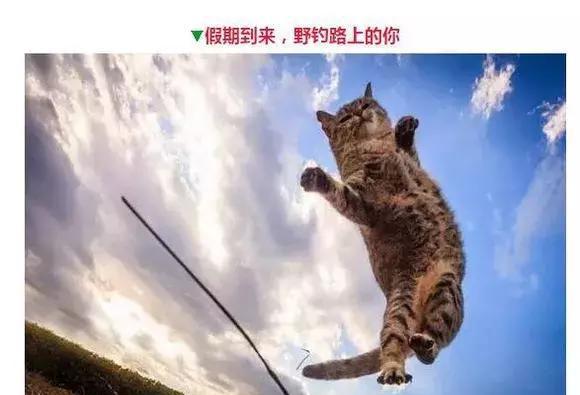 钓鱼人的那些表情，看看你中了几个