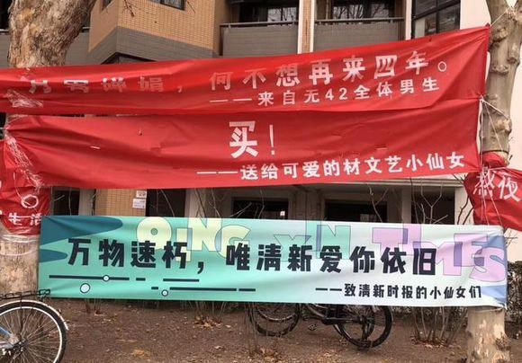 三八妇女节搞笑横幅,祝半边天的小仙女们节日快乐