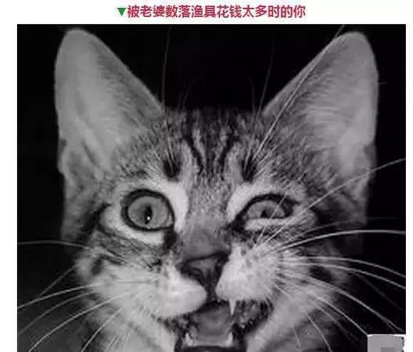 钓鱼人的那些表情，看看你中了几个