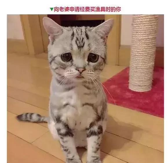 钓鱼人的那些表情，看看你中了几个