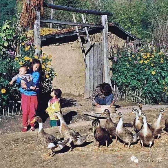 八十年代农村的苦与甜
