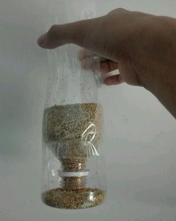 简单自制鹦鹉自动喂食器,您还不来试试吗?