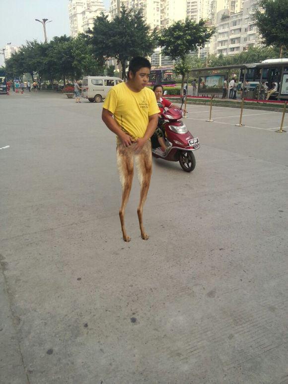 壁纸 动物 狗 狗狗 580_773 竖版 竖屏 手机