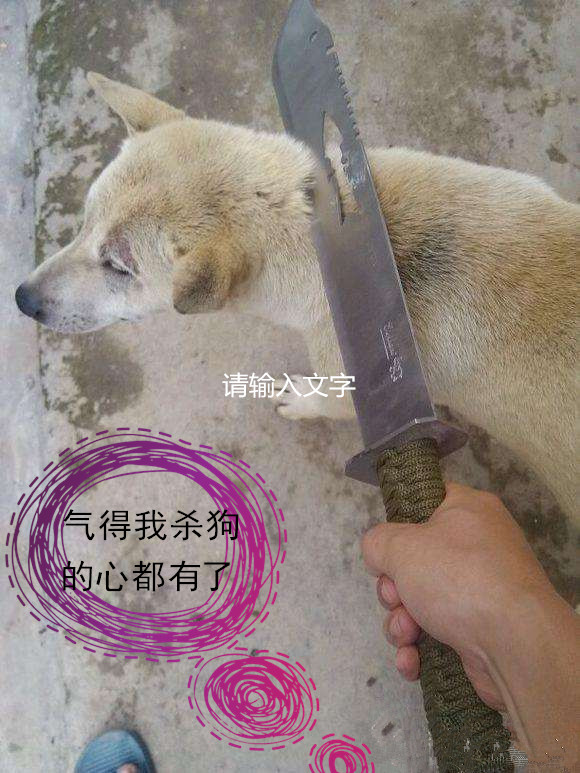 主人在泡澡,后来出去接个电话,回来气得杀狗的心都有了