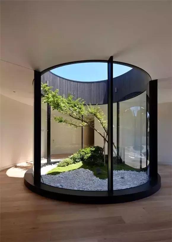 现代建筑天井种树的讲究以及图片鉴赏