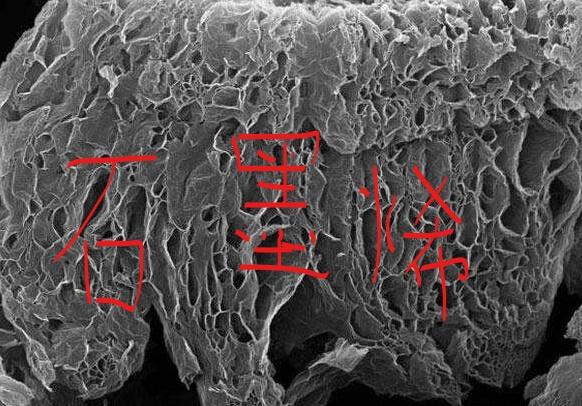 国产铝石墨烯电池技术远超三星