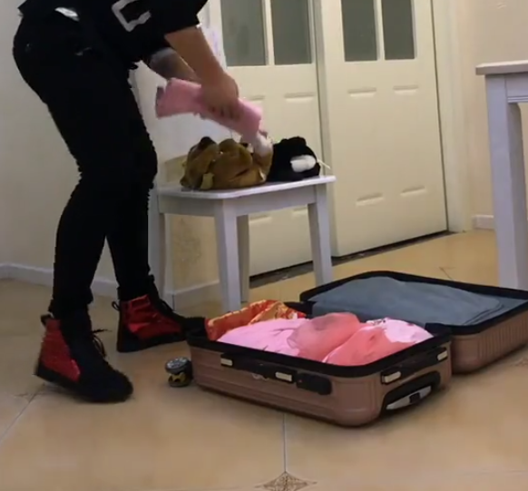 主人打包行李准备回家,旁边小泰迪赶紧钻进行李箱,生怕被落下!