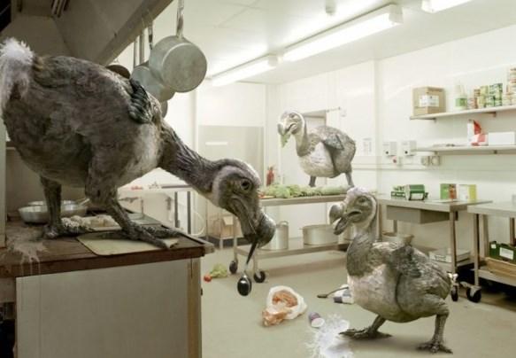 有可能复活成功的灭绝动物名单