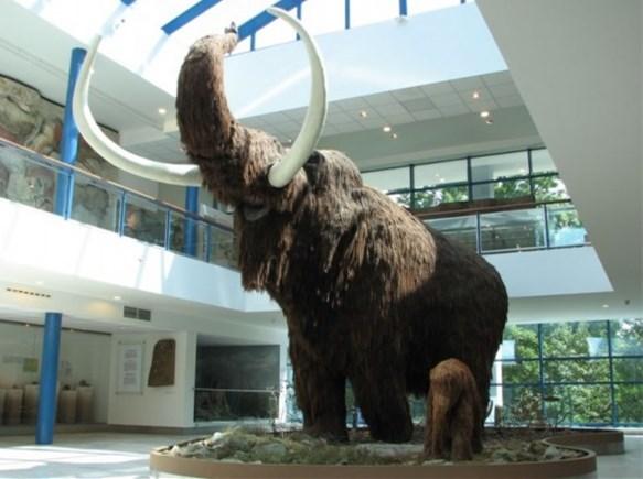 有可能复活成功的灭绝动物名单