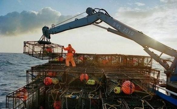 世界上最不缺钱的工作,一周收入近100万,却没