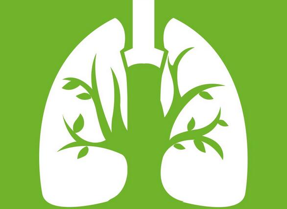 结核病病变的分类及预防