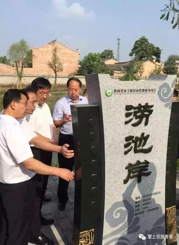 宝鸡扶风生态涝池展新颜 宜居环境如画卷