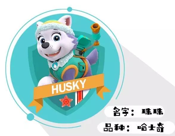 打败小猪佩奇,晋升宝宝圈第一网红的汪汪队,到