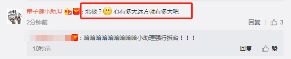 董子健孙怡游“北极” 冰天雪地撒狗粮