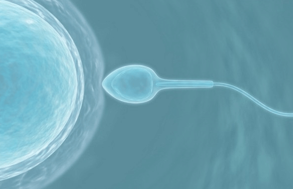 13岁女孩游泳之后怀孕,母亲怒告宾馆游泳池;专