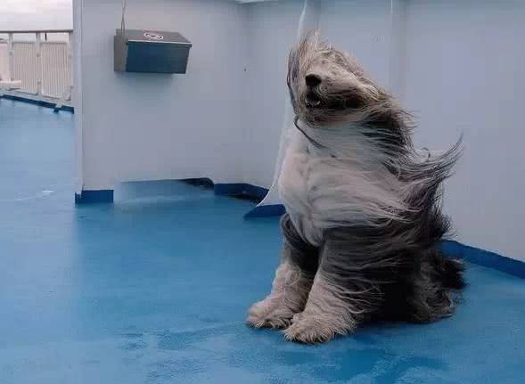 连续三天!运城7级妖风来袭!所有人都被春风虐哭了!