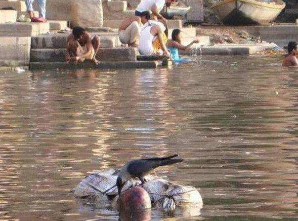 不可思议!印度人上厕所不用纸巾只用左手洗屁