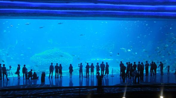 珠海长隆世界级海洋主题乐园集群发展路径解析