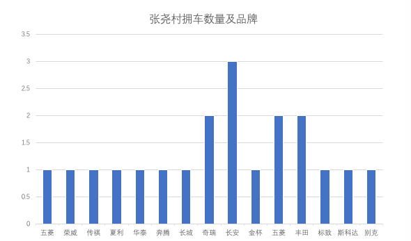 河北农村购车调查：年轻人多买自主，村长开大众