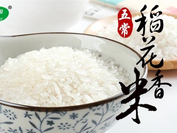 揭秘黑龙江五常大米VS吉林大米哪个好吃?网友