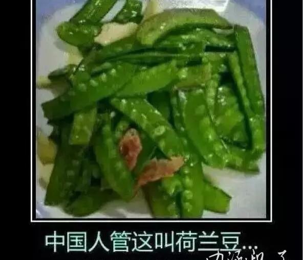 交警提示:骑摩托车请带好头盔,否则开宝马的同