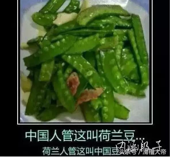 交警提示:骑摩托车请带好头盔,否则开宝马的同