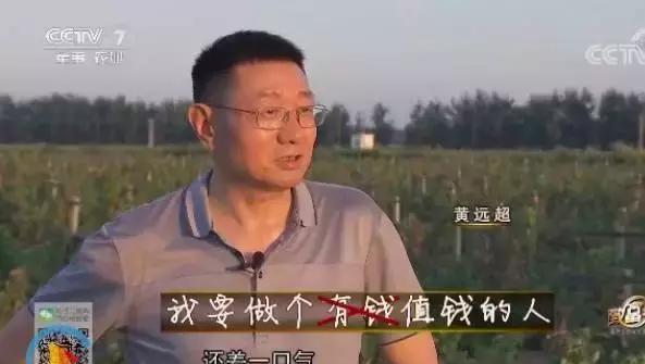从国外回乡种树莓黄远超上了央视致富经