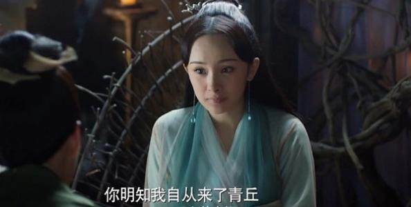 青丘白浅小说中的两位奇怪哥哥,一个拼命找妻