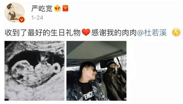 严宽的低智商和宠妻过度把自己给坑惨了,如今事业一度跌入谷底!
