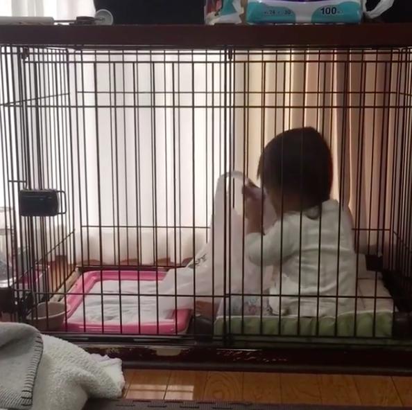 然后妹妹就把门关起来,自己在里面玩了?
